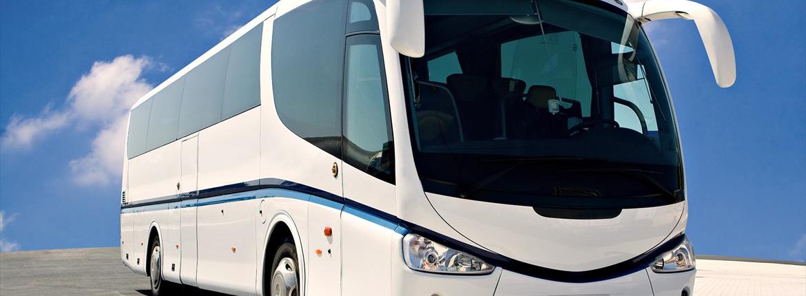 Bus e Minibus