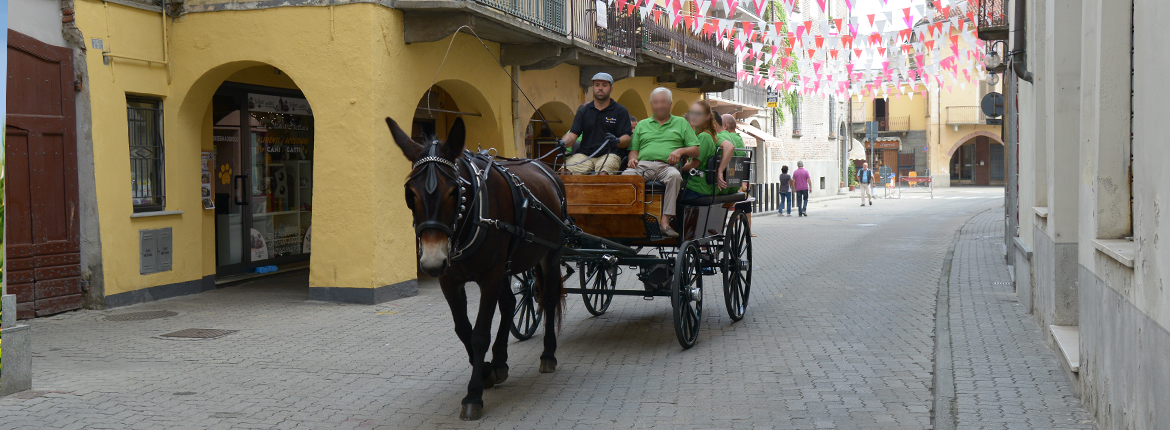 Eventi